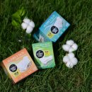 오드리인 이미지