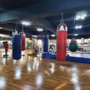 임재근 권투체육관 이미지