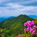 정병공인중개사사무소 이미지