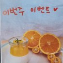동교초교 이미지