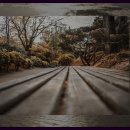 다덕약수관광지 이미지