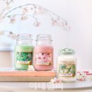 체리트리(CHERRY TREE) 이미지