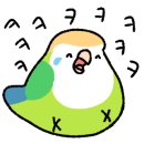 과일앵무새 이미지