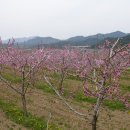 봉좌마을회관 이미지