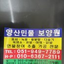 고려보양원 네이버블로그