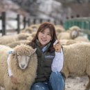 라이크 이미지