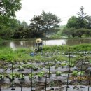 일희농장 이미지