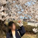 만개잡화점 - 남양주시 | [국내 소도시 여행] 당진 여행 삽교호 함상공원, 삽교호 테마파크(여름맞이 숙박세일페스타/수도권 인근...
