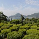 수림농장 이미지