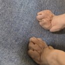 냥냥 | [강남 고양이 카페 / 강남역 놀거리 추천] 히히냥냥 후기