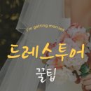 (주)영투어 이미지