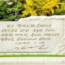 선전자 이미지
