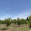 외딴농장 이미지