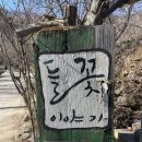 들꽃이 있는집 | 강추하는 카페 원주 들꽃이야기! 주차정보 애견동반 후기