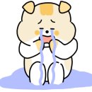 에그드랍천안 이미지