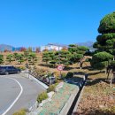 우방조경식물원 이미지