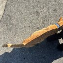 석화농장 | 2026. 2월1주 일상 (Feat. 통영여행)