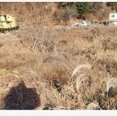 조항농로 이미지