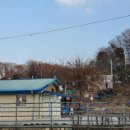 선일농장 이미지