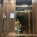 하이목장 - 안양시 만안구 양화로136번길 10 | 하이떼오'daily(어느새 5살 유치원생이된 아들,김포 연보람목장 다녀온 후기!!!)
