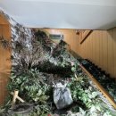 미향 | 원주 상견례 장소 추천 한정식 미향 솔직 후기