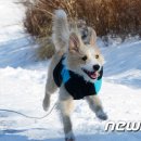 삼호공원 화장실 이미지