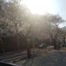 감자바우 민박 이미지