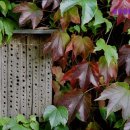 이태원동물병원 이미지