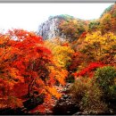 금성산성 이미지