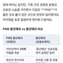 피엔비PNB)풍년제과피엔비PNB