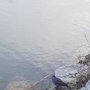 내포신도시 족구장 이미지