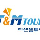 티엔엠 티티엘뉴스