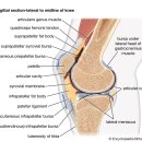 마디튼튼재활의학과의원 이미지