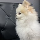 그루밍네일위드유 이미지