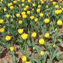 영신이발관 이미지