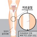 대구 | 2026 대구마라톤 후기