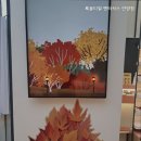 룩옵티컬 엔터식스 안양점 | 안양안경점,안양역안경점 룩옵티컬 엔터식스 안양점 안양역 접근성 최고