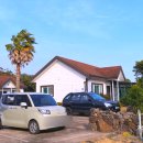 하귤과보리 이미지