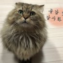아름다운 연천한우 이미지
