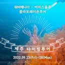플라이앤플레이