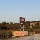 GS25 성남은행중앙점 | 2025년 여주 강천섬 실시간 (2025.11.04.화 방문) | 강천섬 은행나무 단풍 실시간