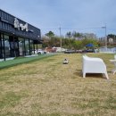 GR(대구광역시 달성군)-[국가산단북로32길]-하-1 | 구지 별의별, 대구 애견동반 카페 찐 나만 알고 싶은 곳