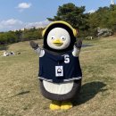 서울대학교 행정대학원 이미지