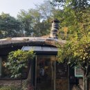 박터진흥부네 이미지