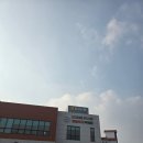 둔포농협하나로마트 | 둔포농협 하나로마트 방문 후기 리뷰