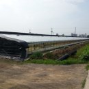 남지농협주유소 이미지