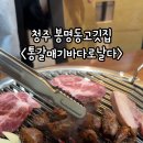 통갈매기바다로날다