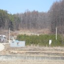 양지-3521 이미지