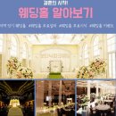 강남하우스 이미지