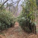 연일공원 이미지